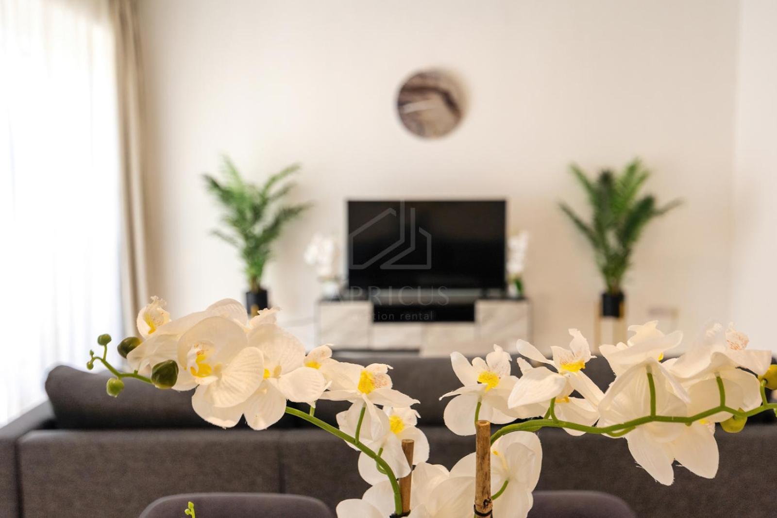 Brand New Rimal 2Bd In Front Of The Jbr Beach Dubaj Zewnętrze zdjęcie